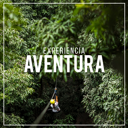 Rodavento Natural