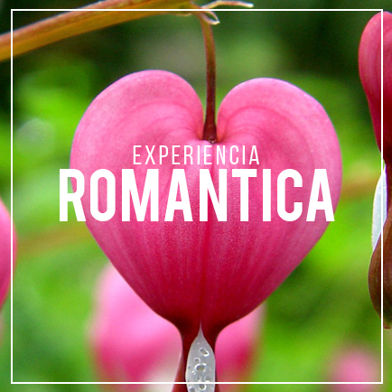 Rodavento Natural