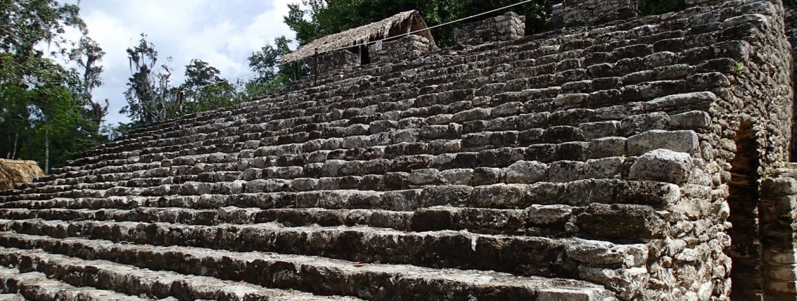 Condominio Las Palmas