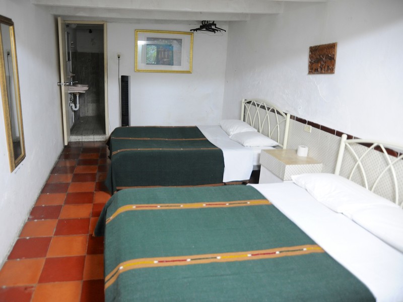 Bed in Standard shared room