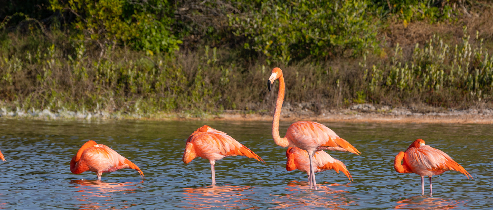 Hotel Casona De Sisal