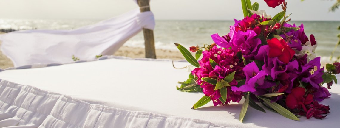 Hotel Reef Yucatan Hotel Reef Yucatan