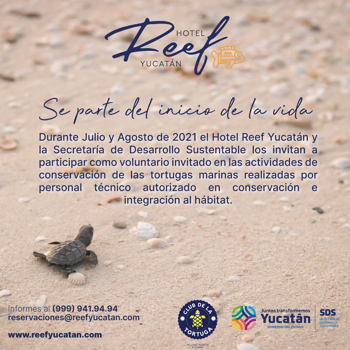 Hotel Reef Yucatan Hotel Reef Yucatan
