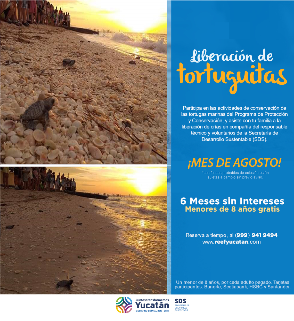 Hotel Reef Yucatan Hotel Reef Yucatan