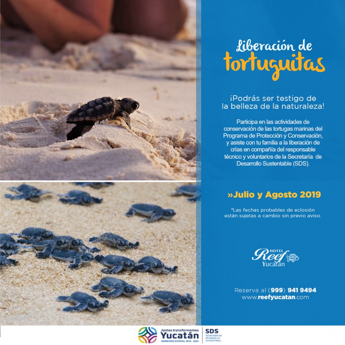 Hotel Reef Yucatan Hotel Reef Yucatan
