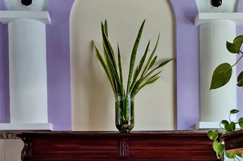 San Juan
