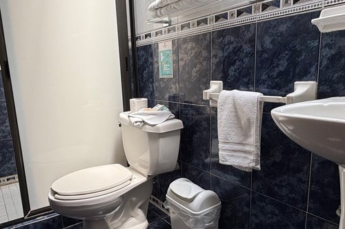 Hotel Finca Las Hortensias