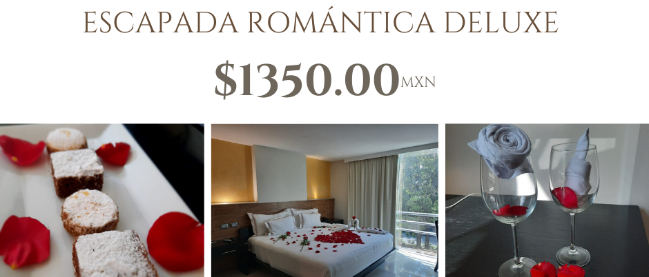 Hotel El Español Paseo de Montejo