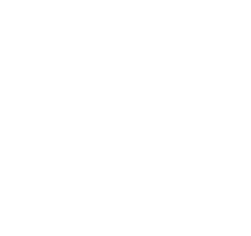 Hotel Hidalgo