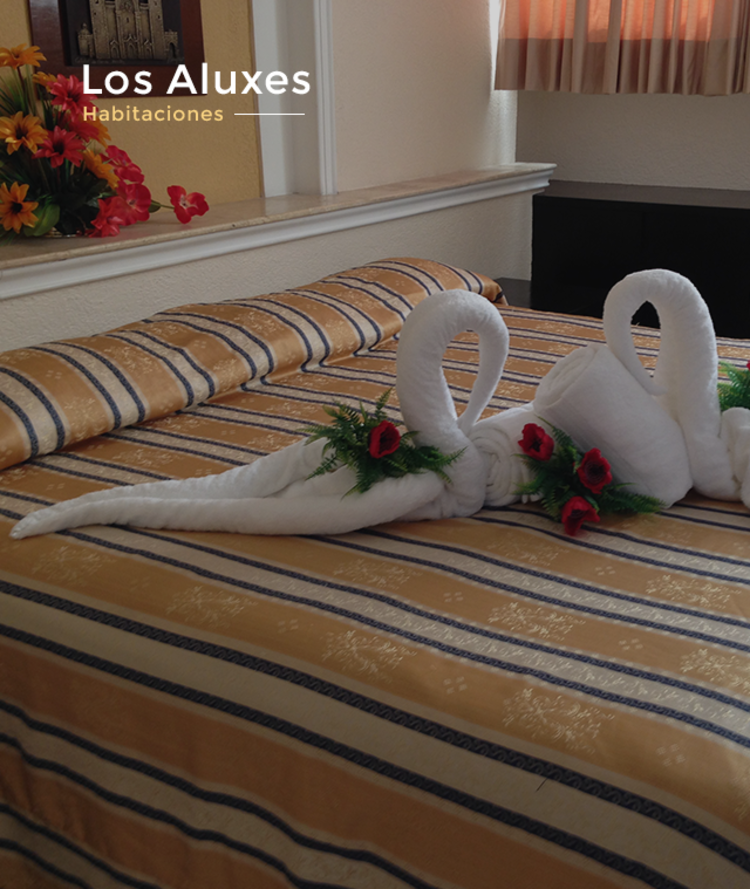 Hotel Los Aluxes