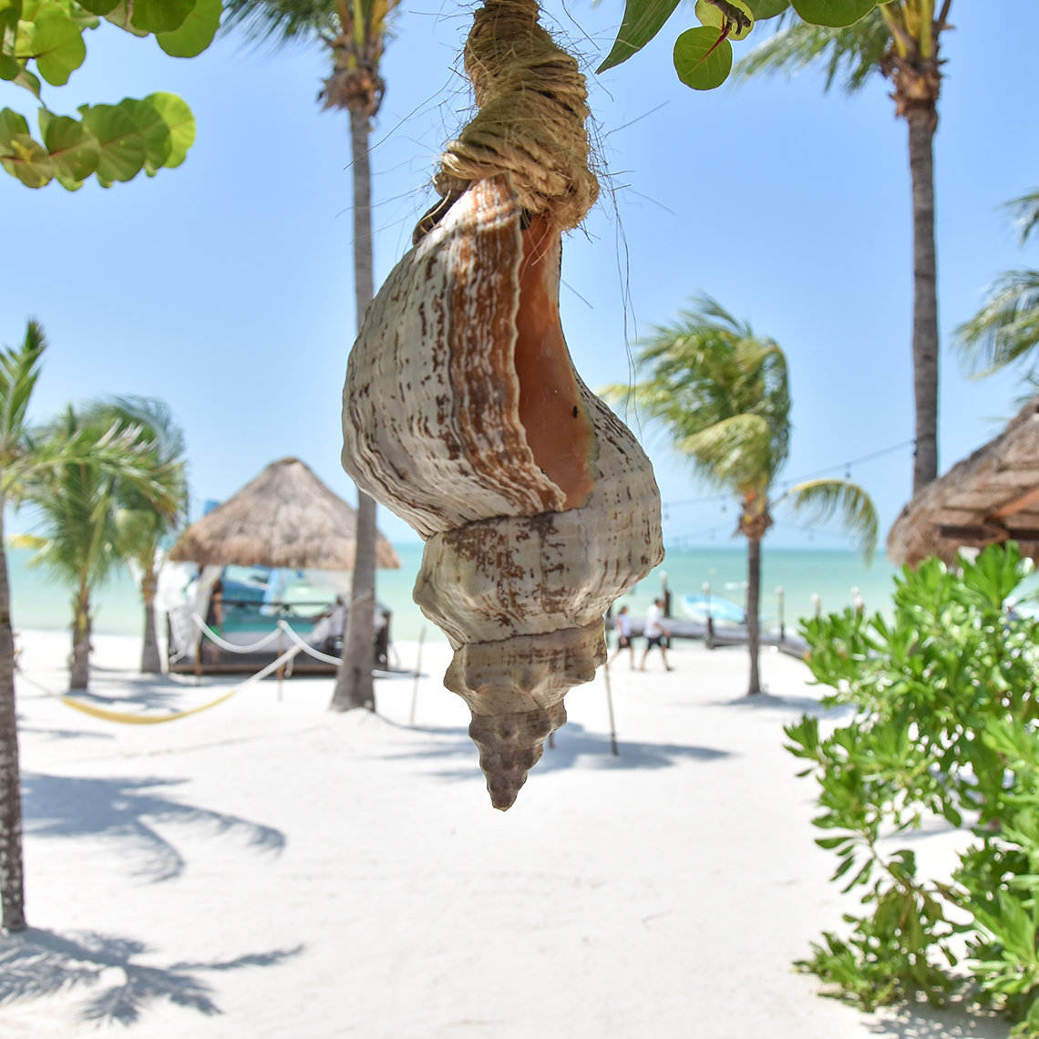 Spirit Holbox Downtown Spirit Holbox Downtown
