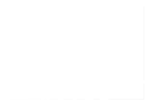 HOTEL MADERO