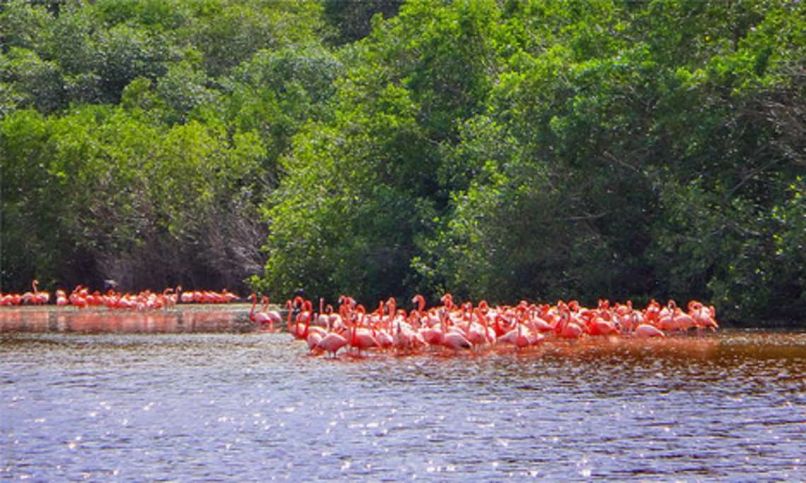 Hacienda Tepich Hacienda Tepich