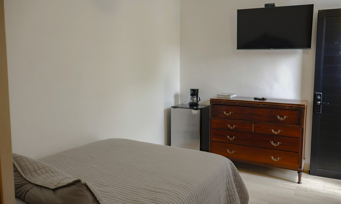 LA MANSIÓN DEL REY DAVID