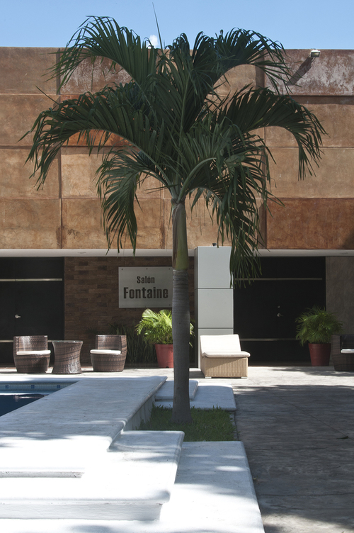 Hotel Plaza Mirador
