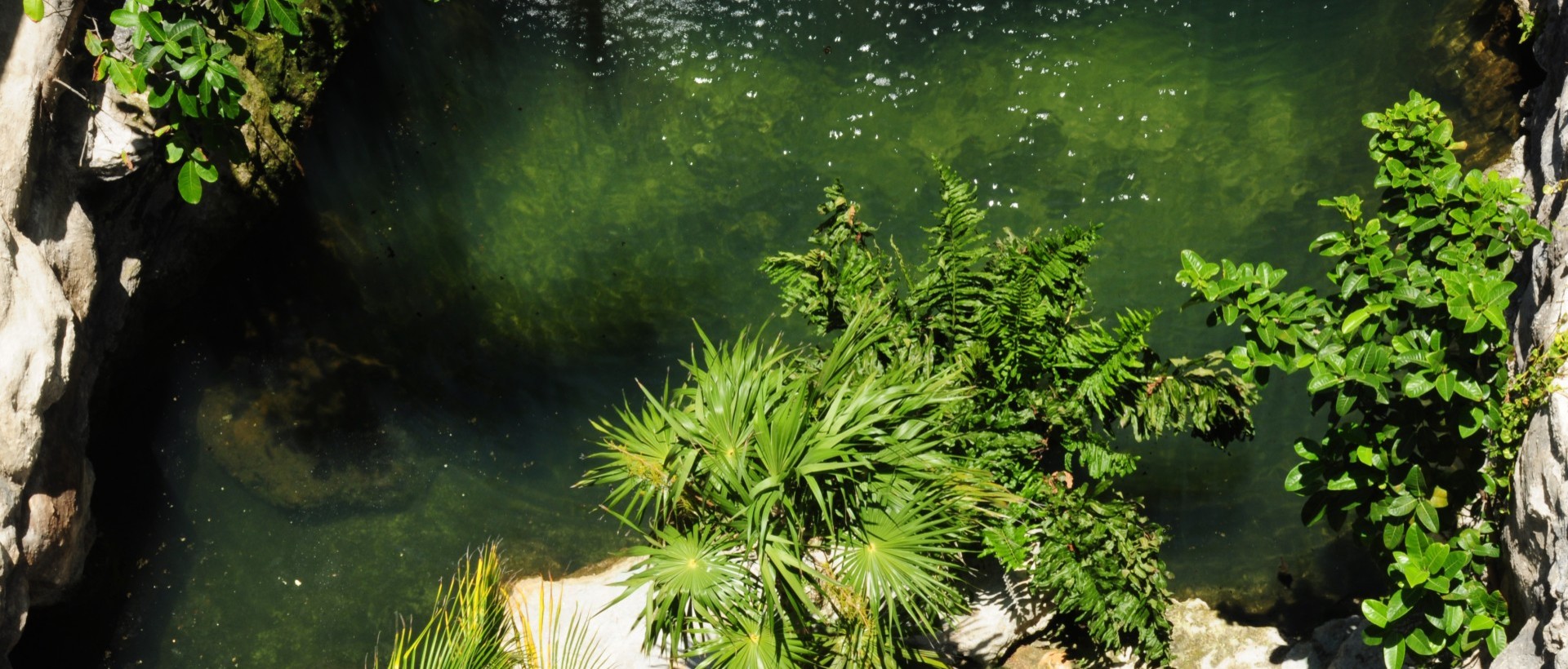 Hotel Posada Siankaan