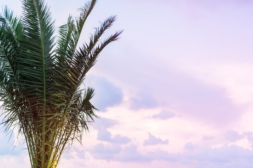 Hotel Marquee by Kavia