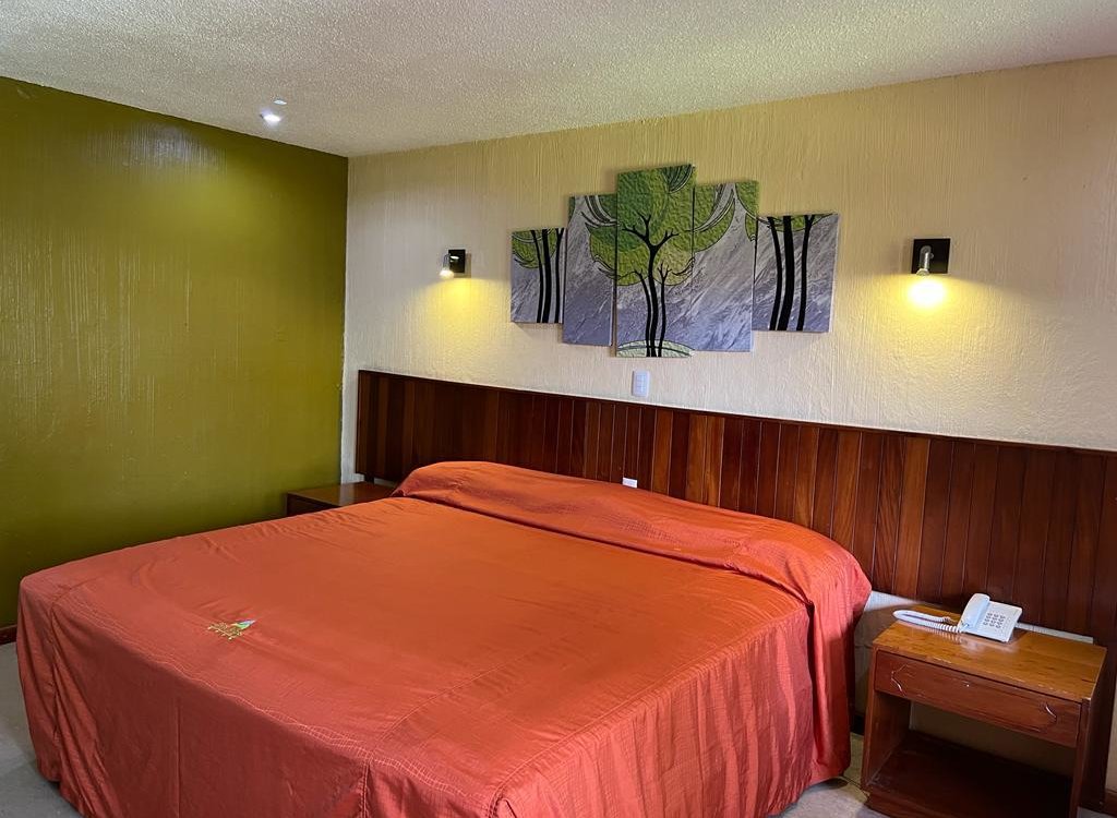 Hotel Los Andes