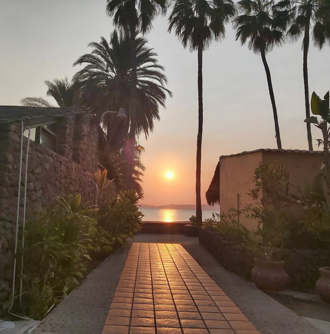 Hotel Oasis Hotel Oasis