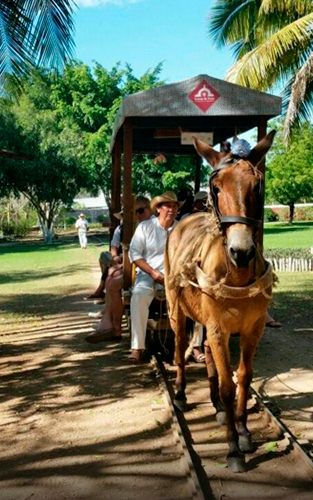 Hacienda Sotuta de Peon Hacienda Sotuta de Peon