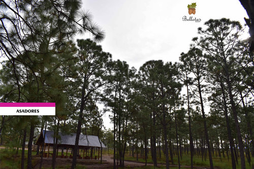 BELLOTAS RESORT