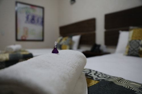Hotel 12 Bees