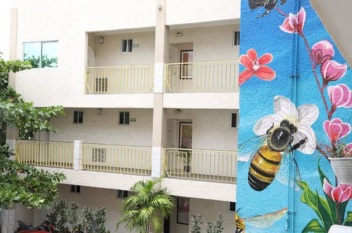 Hotel 12 Bees