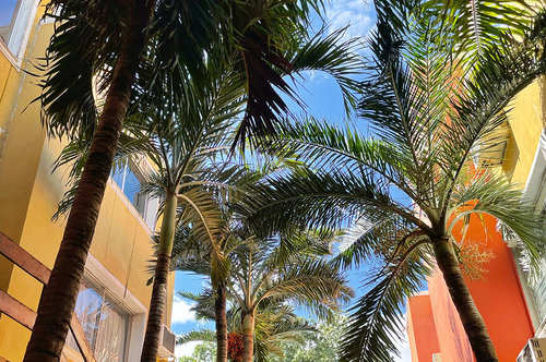 Hotel Suites Cancún Center