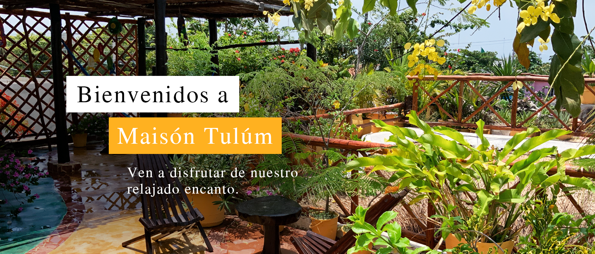 Maison Tulum Hotel