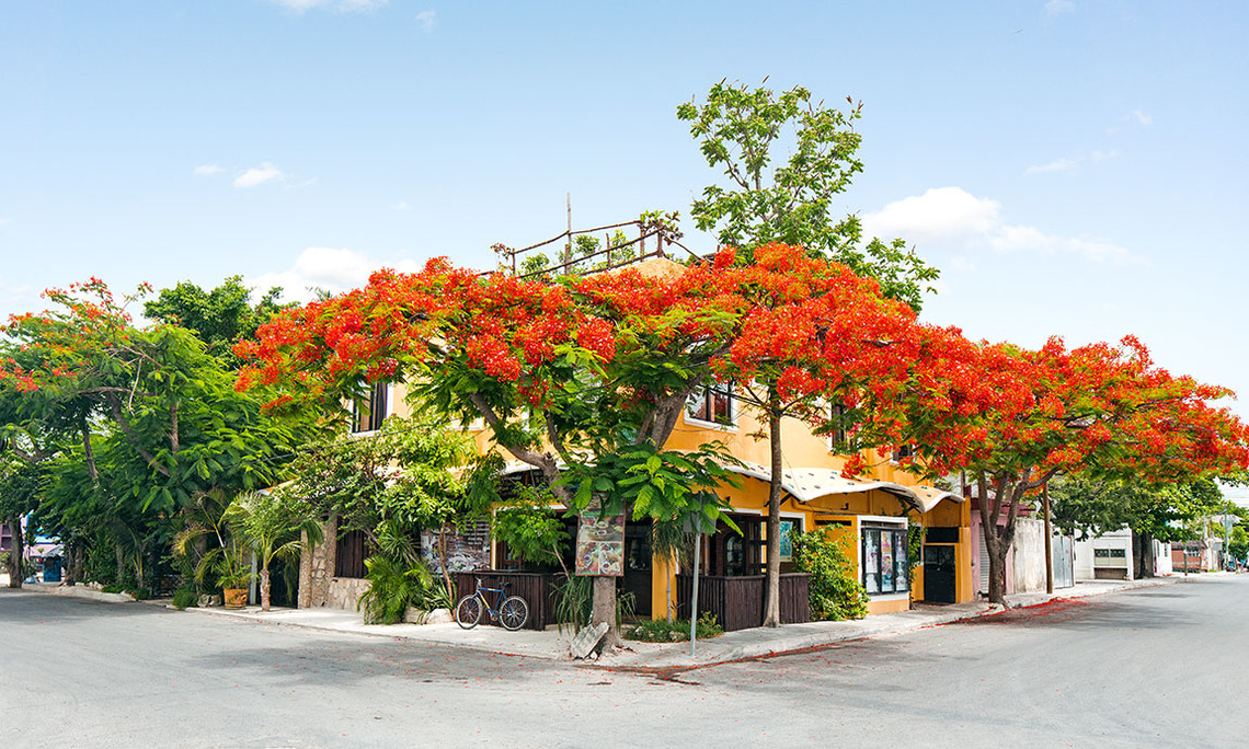 Maison Tulum Hotel